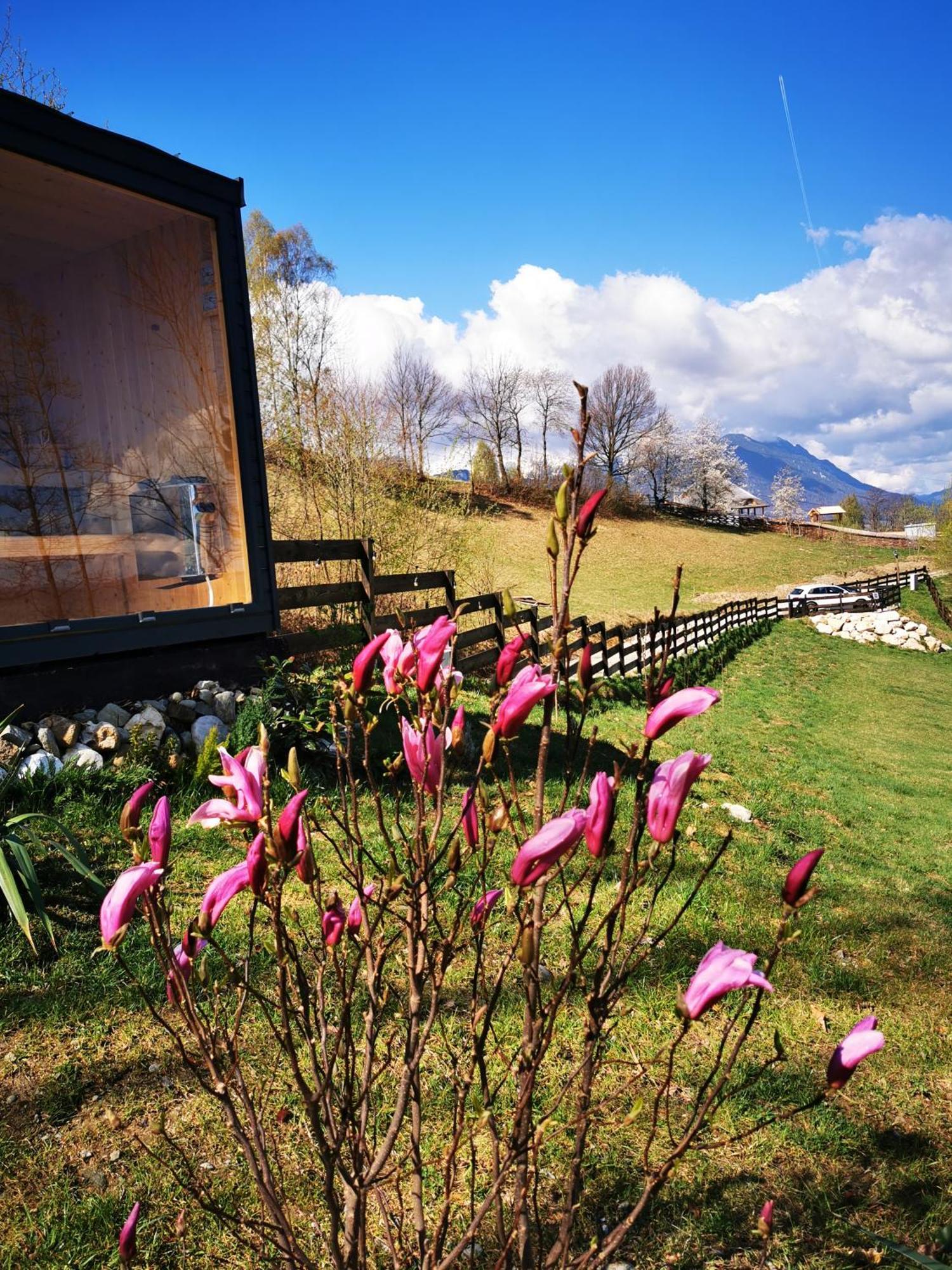 Doza De Verde Retreat&Spa Bran-Adults Only Sohodol  Luaran gambar